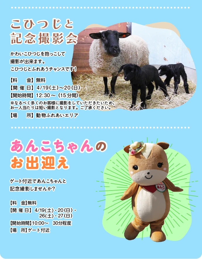 バルーンリリース、こひつじと記念撮影会