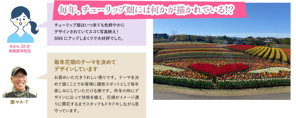 毎年、チューリップ畑には何かが描かれている!?